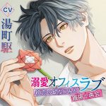 溺愛オフィスラブ ?初恋の幼なじみと職場で再会?【CV:湯町駆】