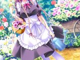 アナベル・メイドガーデン