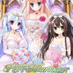 Pure Marriage ?赤い糸物語 ハーレム編?