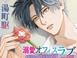 溺愛オフィスラブ ?初恋の幼なじみと職場で再会?【CV:湯町駆】
